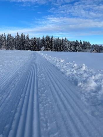 Prodej rodinného domu, Kvilda, 408 m2