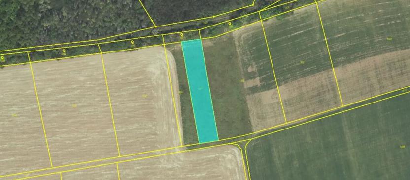 Dražba pole, Suchomasty, 1263 m2