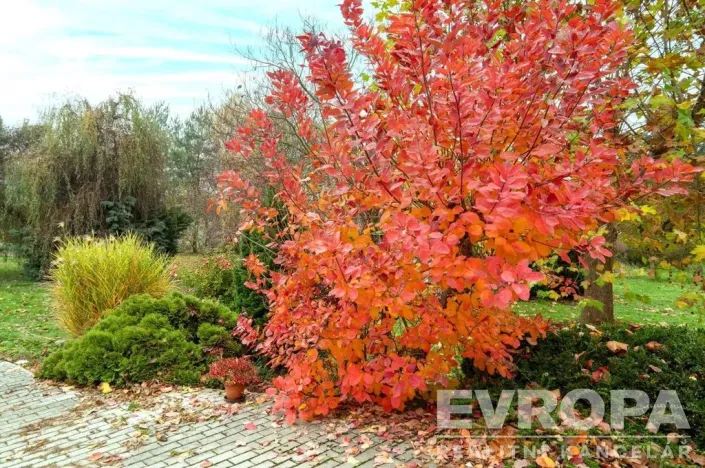 Prodej činžovního domu, Praha - Lipence, 958 m2