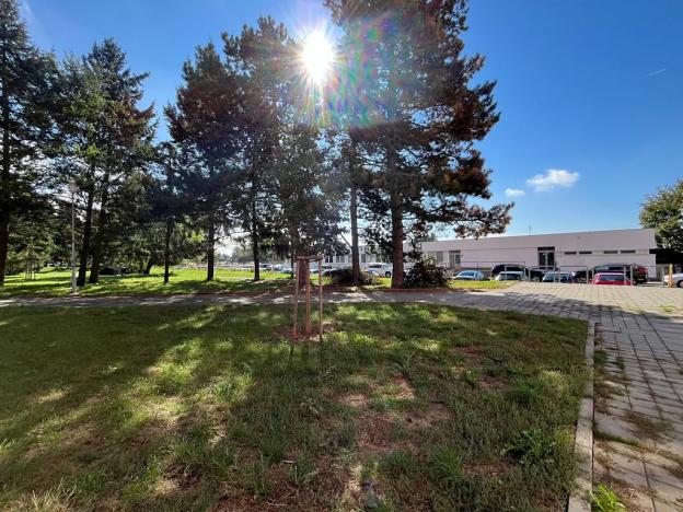 Pronájem bytu 1+kk, Brno, Halasovo náměstí, 21 m2