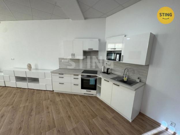 Pronájem bytu 3+kk, Frýdek-Místek, Havlíčkova, 118 m2