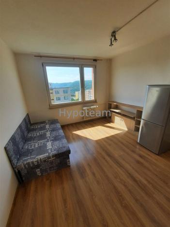 Pronájem bytu 1+kk, Ústí nad Labem - Ústí nad Labem-centrum, SNP, 20 m2