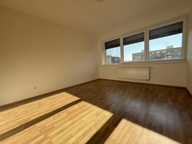 Pronájem bytu 3+kk, Pardubice - Zelené Předměstí, Hronovická, 100 m2