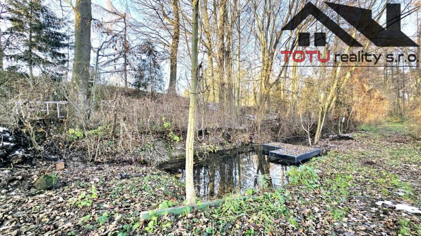 Prodej rybníku, Černožice, 44772 m2