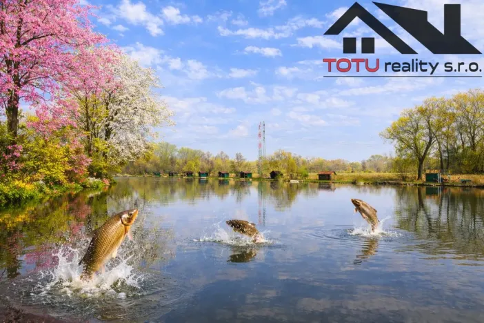 Prodej rybníku, Černožice, 44772 m2