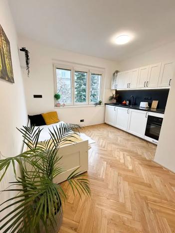 Pronájem bytu 1+kk, Praha - Strašnice, Sečská, 17 m2
