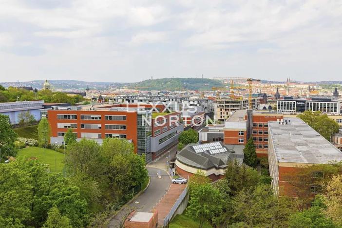 Pronájem bytu 2+kk, Praha - Žižkov, U Rajské zahrady, 66 m2