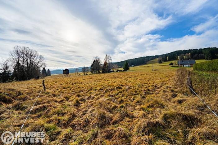 Prodej pozemku pro bydlení, Orlické Záhoří, 4018 m2