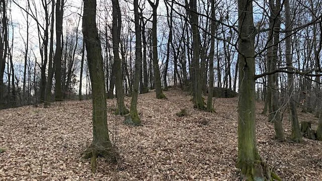 Prodej pozemku pro bydlení, Háj ve Slezsku, Pod Lesem, 693 m2