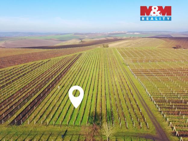 Prodej pole, Velké Bílovice, 3600 m2