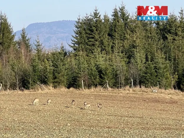 Prodej zahrady, Hronov, 6000 m2