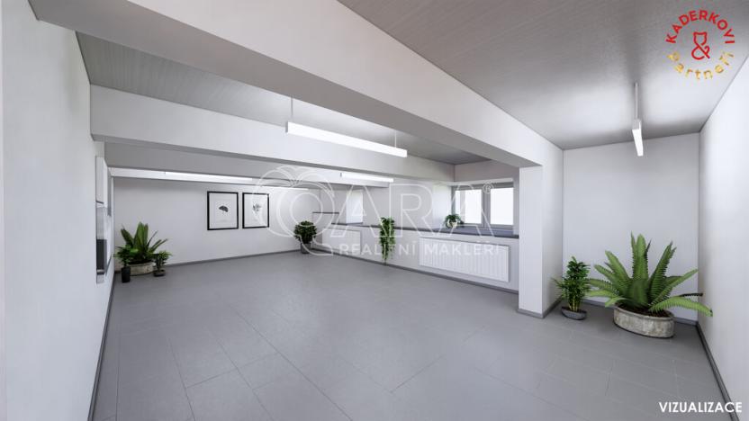 Prodej obchodního prostoru, Brno, Lidická, 326 m2