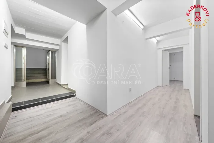 Prodej obchodního prostoru, Brno, Lidická, 172 m2