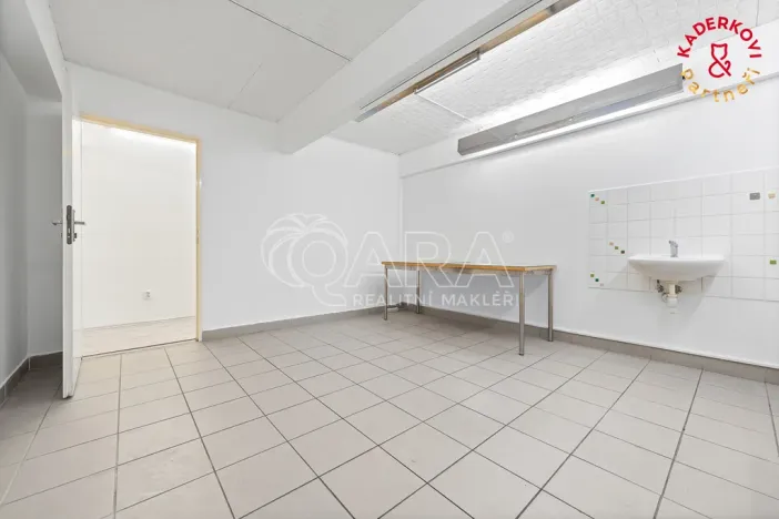 Prodej obchodního prostoru, Brno, Lidická, 172 m2