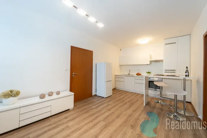 Prodej bytu 2+kk, Praha - Žižkov, U kněžské louky, 43 m2