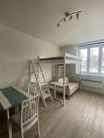 Pronájem bytu 1+kk, Praha - Žižkov, Jana Želivského, 27 m2