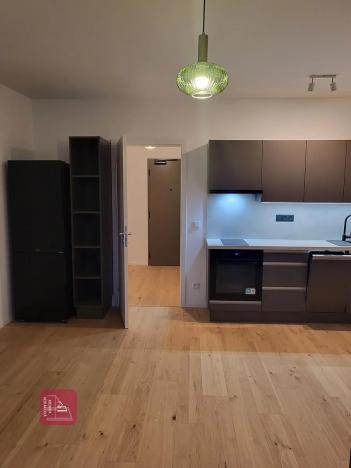 Pronájem bytu 1+kk, Brno, Bratislavská, 32 m2