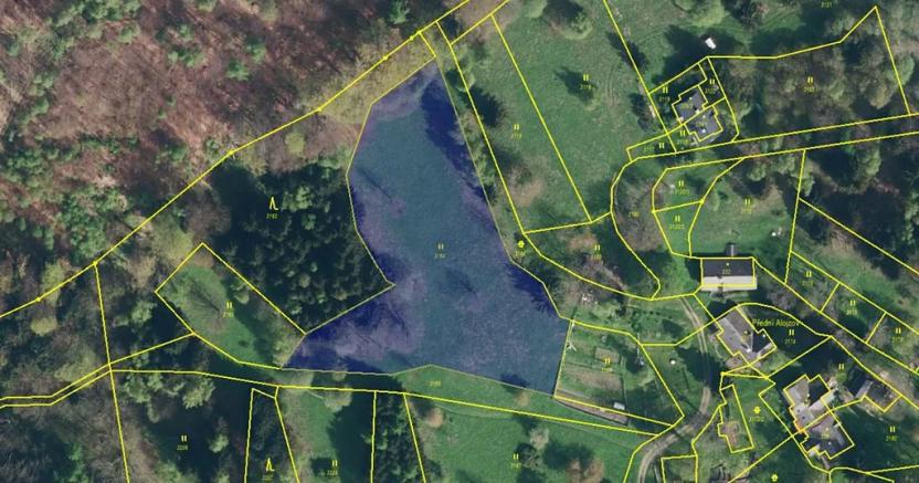 Prodej louky, Branná, 5574 m2