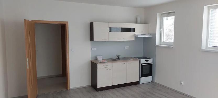 Pronájem bytu 1+kk, České Budějovice, Pekárenská, 30 m2