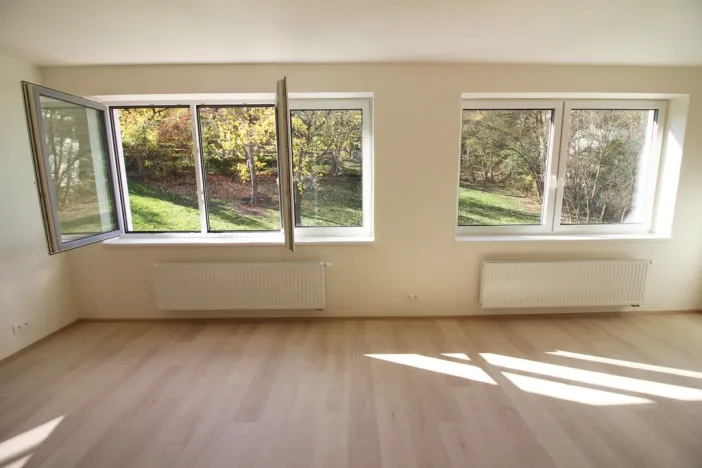 Pronájem bytu 3+kk, Brno, Vídeňská, 100 m2