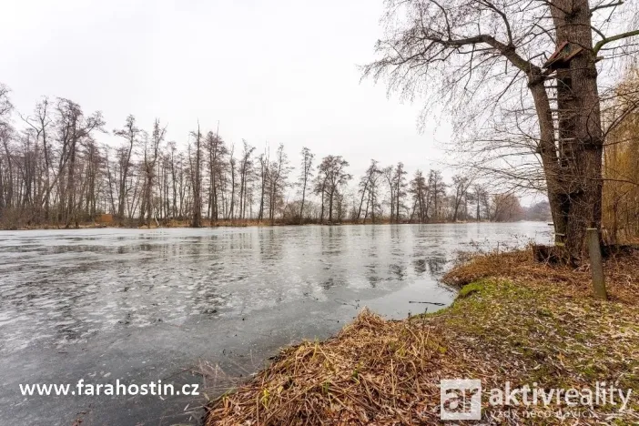 Prodej rodinného domu, Hostín u Vojkovic, 420 m2