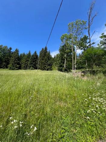 Prodej louky, Jablonec nad Jizerou, 12774 m2