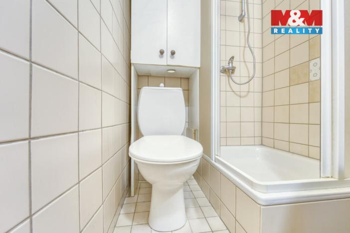 Pronájem bytu 1+kk, Plzeň - Východní Předměstí, Šafaříkovy sady, 23 m2