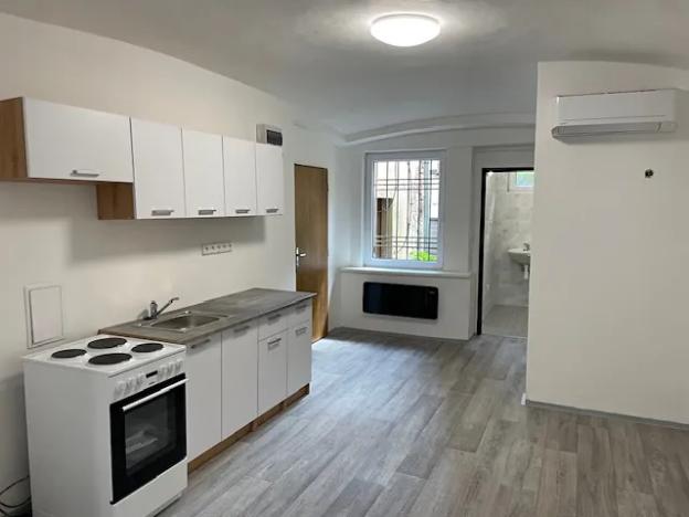 Pronájem bytu 1+kk, Teplice, Souběžná, 50 m2