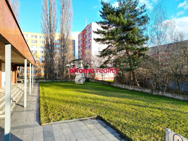 Pronájem obchodního prostoru, Olomouc, Sokolovská, 553 m2