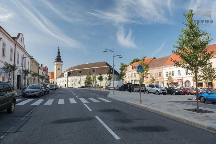 Prodej pozemku pro bydlení, Moravské Budějovice, Chelčického, 4997 m2