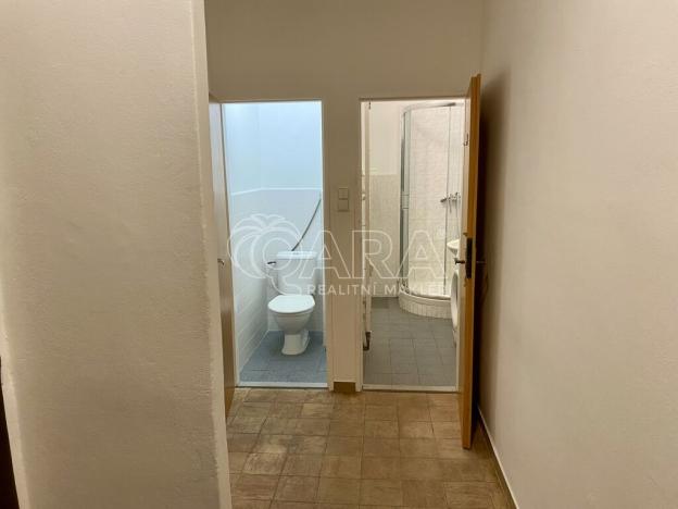 Pronájem bytu 2+1, Praha - Vinohrady, Písecká, 53 m2