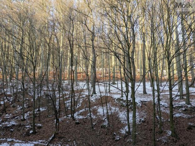 Pronájem bytu 4+1, Litvínov - Janov, Luční, 90 m2