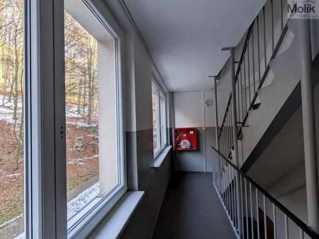 Pronájem bytu 4+1, Litvínov - Janov, Luční, 90 m2