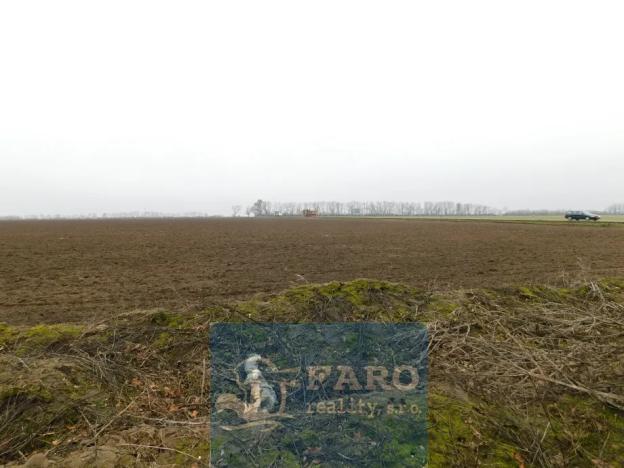 Prodej pole, Dyje, 8295 m2