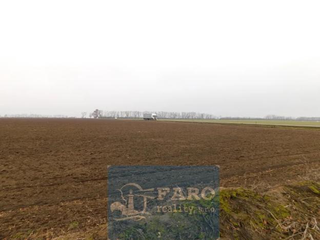 Prodej pole, Dyje, 8295 m2