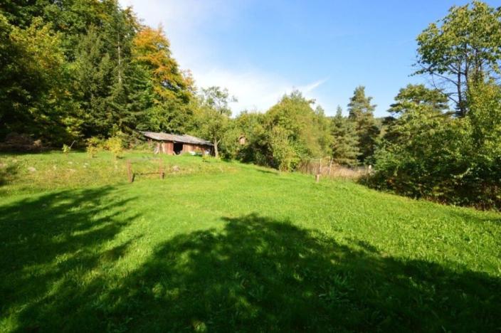 Prodej zahrady, Děčín - Děčín IX-Bynov, Na Pěšině, 1182 m2