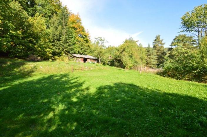 Prodej zahrady, Děčín - Děčín IX-Bynov, Na Pěšině, 1182 m2