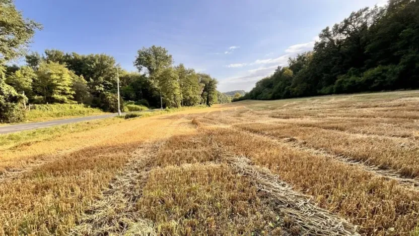 Prodej pozemku pro bydlení, Kralupy nad Vltavou - Minice, 14370 m2