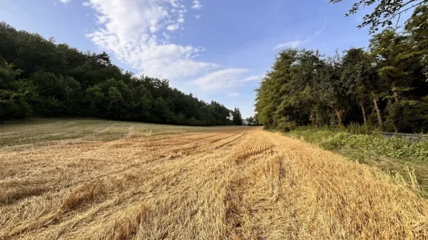 Prodej pozemku pro bydlení, Kralupy nad Vltavou - Minice, 14370 m2