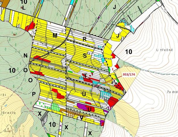 Dražba lesa, Nová Hradečná, 6275 m2