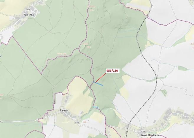 Dražba lesa, Nová Hradečná, 5079 m2