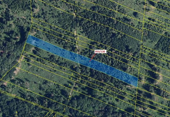 Dražba lesa, Nová Hradečná, 5079 m2