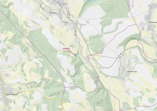 Dražba lesa, Letohrad, 3699 m2