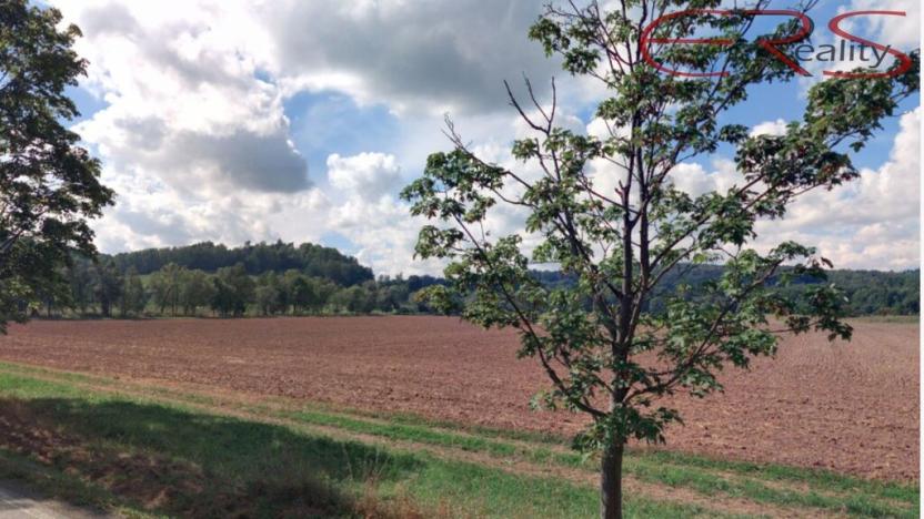 Prodej louky, Rovensko pod Troskami, 16112 m2