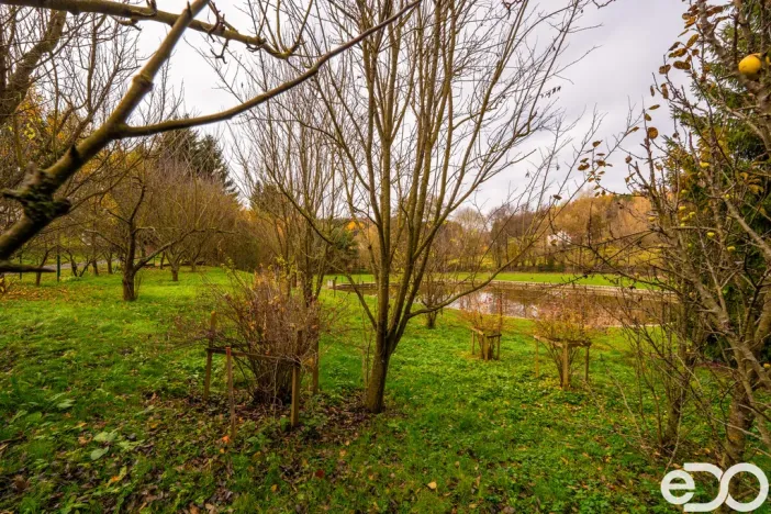 Prodej pozemku pro bydlení, Petrovice II - Staré Nespeřice, 1781 m2