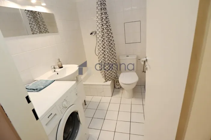 Pronájem bytu 1+kk, Hostivice, Za Mlýnem, 30 m2