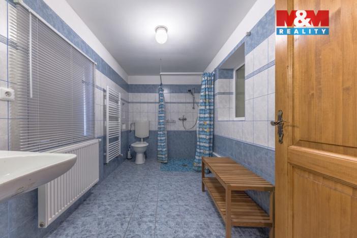 Prodej chalupy, Vysoké nad Jizerou - Horní Tříč, 250 m2