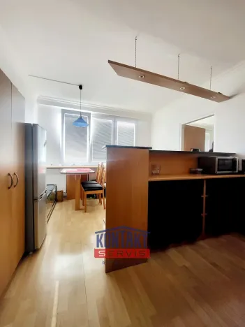 Pronájem bytu 1+1, České Budějovice, J. Buděšínského, 38 m2