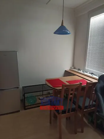 Pronájem bytu 1+1, České Budějovice, J. Buděšínského, 38 m2