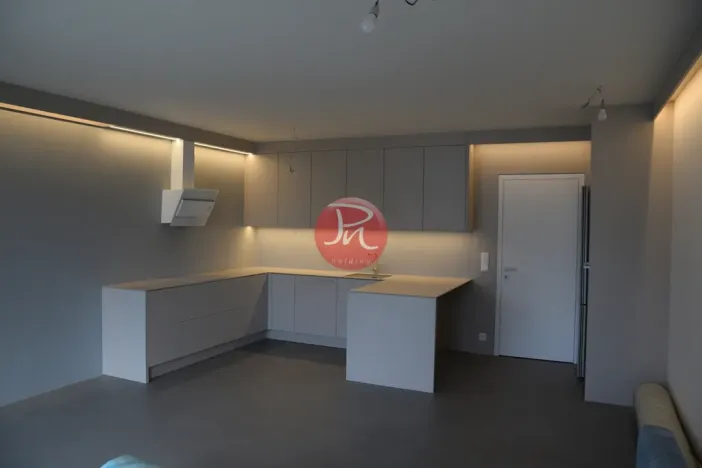 Pronájem bytu 2+kk, Ostrava, F. X. Riepla, 60 m2